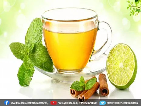 Healthy life: प्रकृति के उपचारकारी अमृत है हर्बल चाय