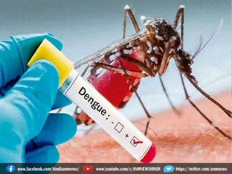 Dengue : बढ़ता ही जा रहा डेंगू का रोगियों की संख्या