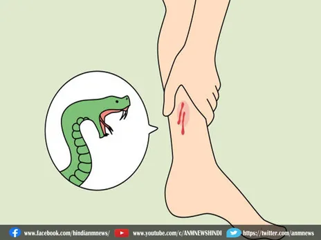 Snake Bite: सर्पदंश से गर्भवती महिला की हुई मौत