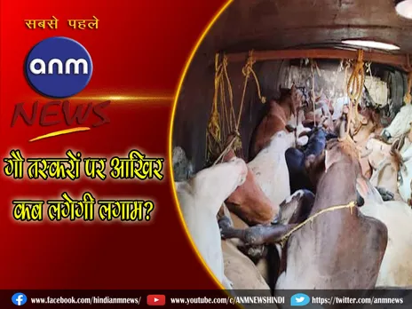 Cow smuggling Video : गौ तस्करों पर आखिर कब लगेगी लगाम, गायों से लदे दो कंटेनर के साथ 5 तस्करों को दबोचा