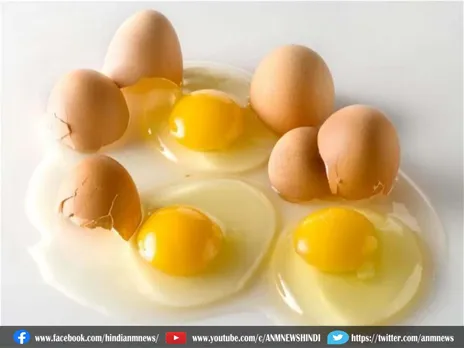 त्वचा को स्वस्थ और तरोताजा रखता है अंडे