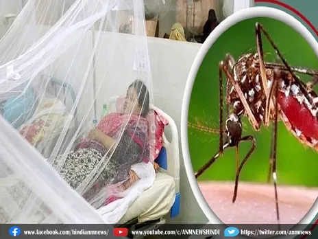 West Bengal News: राज्य सरकार ने डेंगू की स्थिति की समीक्षा की