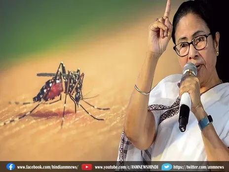 West Bengal News: दुर्गा पूजा से पहले डेंगू पर नजर रखें CM ममता बनर्जी