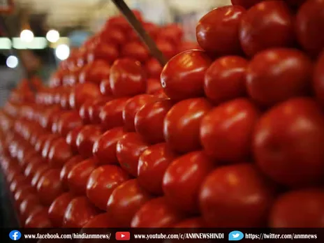 Tomato Price Hike : ग्राहकों के लिए खुशखबरी, टमाटर का दाम हुआ कम