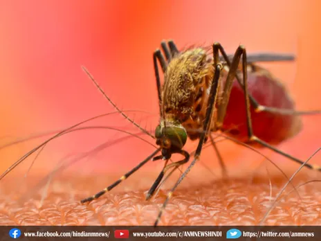 Kolkata : डेंगू, मलेरिया की रोकथाम के लिए जागरूकता अभियान