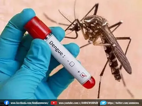 Dengue : इस जिला में डेंगू मच्छर का प्रकोप तेजी से फैल रहा
