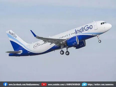 Indigo फ्लाइट में पायलट पर हमला (VIDEO)