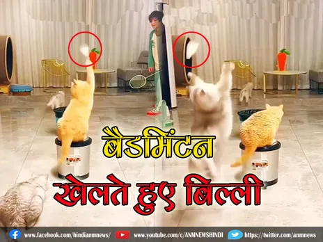 Animals playing badminton : OMG! ऐसा प्लेयर......अब तो देख ही लीजिए (Video)