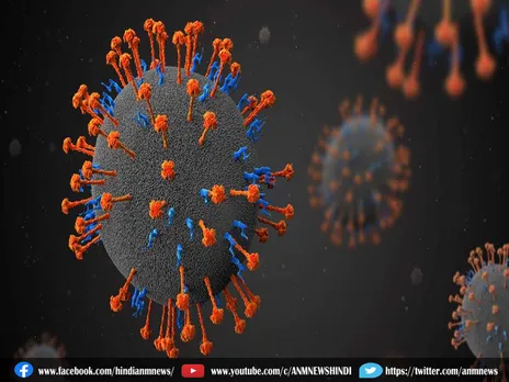 Nipah Virus : क्या है निपाह वायरस, जाने लक्षण