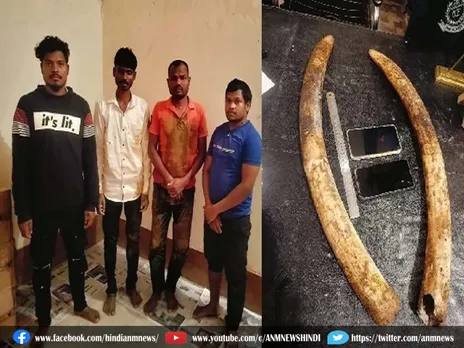 Crime : दो हाथी दांत के साथ चार शिकारी गिरफ्तार