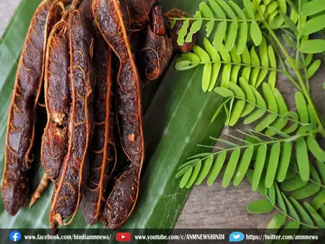 Lifestyle: इन तरीकों से करें इमली को डाइट में शामिल
