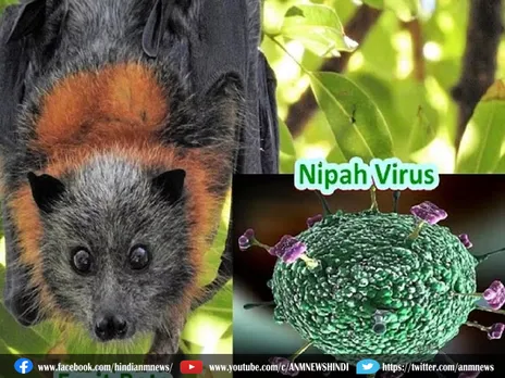 चमगादड़ों के कारण इन राज्यों तक पहुंचा Nipah Virus