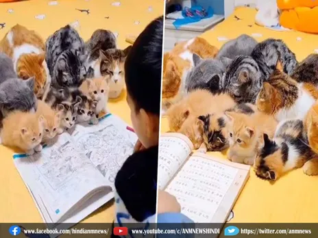 Ajab Gajab: बच्चे के साथ बैठकर पढ़ाई कर रही पालतू बिल्लियां, देखिये VIDEO