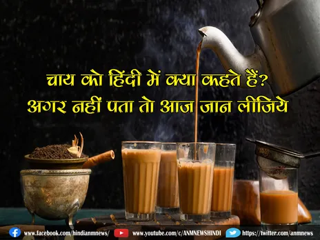 चाय को हिंदी में क्या कहते हैं? अगर नहीं पता तो आज जान लीजिये (VIDEO)