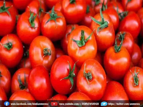 Tomato Inflation: टमाटर की ऊंची छलांग