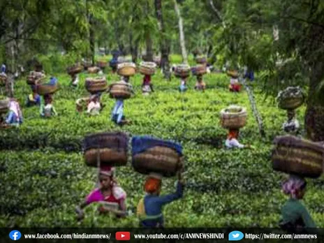 चाय बागान श्रमिकों ने किया सड़क जाम
