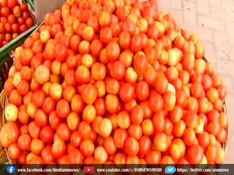 Tomato Price: दिल्ली तथा अन्य शहरों में रियायती दरों पर बेचेगा टमाटर