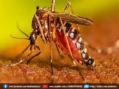 Dengue: पश्चिम बंगाल में डेंगू की मार, आठ की मौत