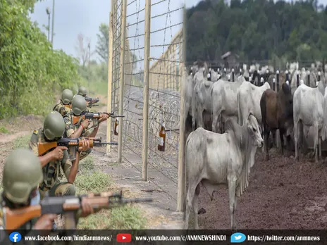 BSF ने किया समझदारी, निडरता और बहादुरी का सराहनीय प्रदर्शन, मारा गया एक पशु तस्कर