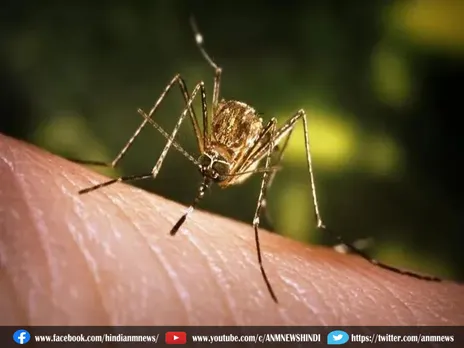 Jamuria: डेंगू से मौत के बाद साफ सफाई तेज, जनता से आग्रह