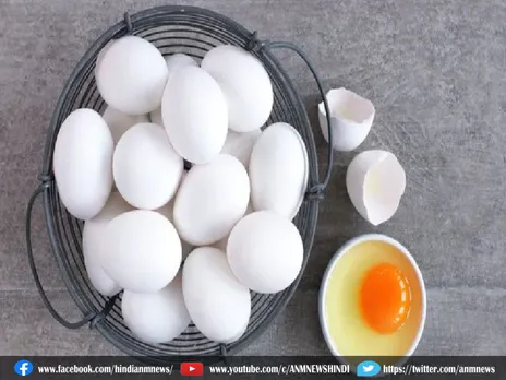 Lifestyle: कैसे करें असली अंडों की पहचान