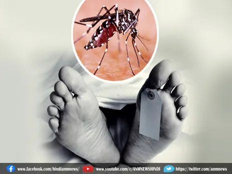 Dengue : डेंगू से व्यक्ति की मौत