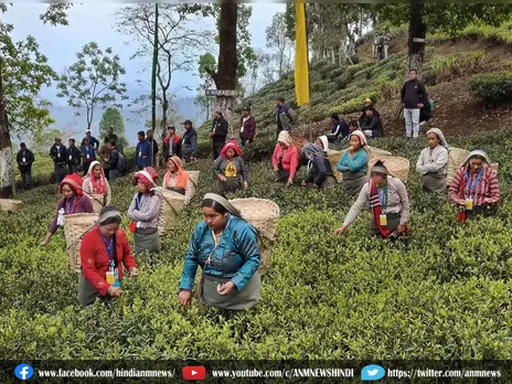 2024 लोकसभा चुनाव: प्रचार के लिए चाय श्रमिकों का लिया सहारा