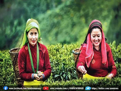 चाय कर्मियों के वेतन में हुई इतने रुपये की बढ़ोतरी