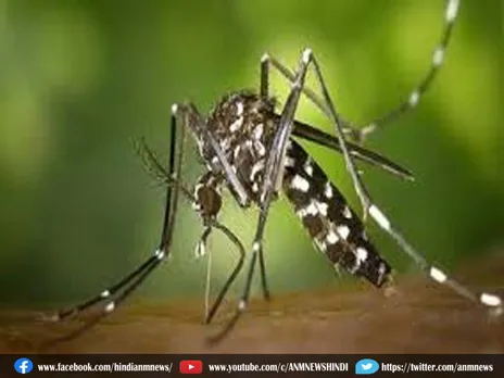 डेंगू से छात्रा की मौत, स्वास्थ्य विभाग हाई अलर्ट पर