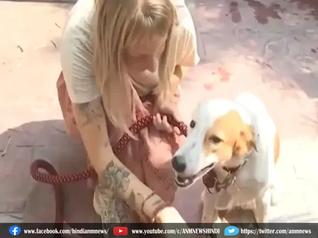 Video: बनारस की सड़कों पर घूमता आवारा कुत्ता अब जाएगा विदेश, बन गया पासपोर्ट और वीजा