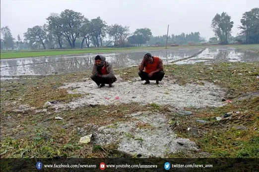 लगातार बारिश से किसानों का बुरा हाल