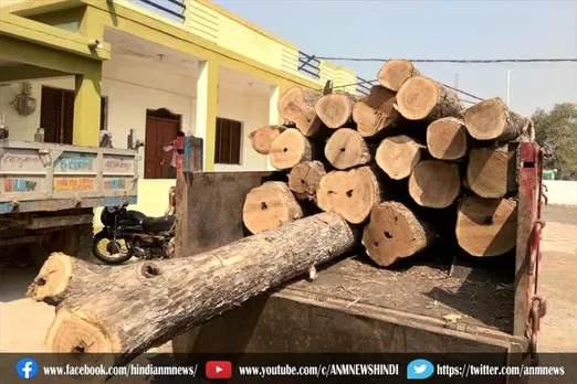 बर्मी सागौन की लकड़ी की अवैध खेप जब्त