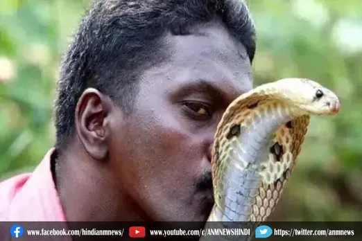 50 हजार से अधिक सांपों को पकड़ने वाले सुरेश को कोबरा ने काटा