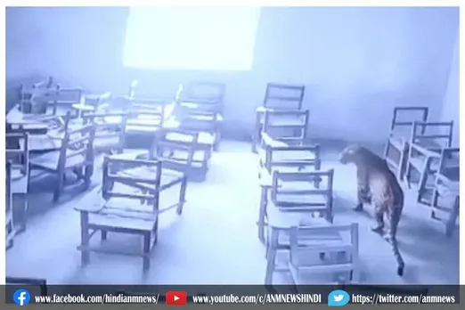 कॉलेज में घुसते ही तेंदुए ने किया छात्र पर किया हमला, देखे वीडियो