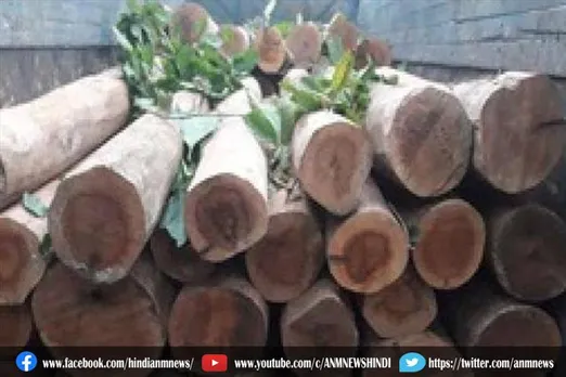 वनकर्मियों ने इतने लाख रुपये मूल्य की लकड़ी जब्त की