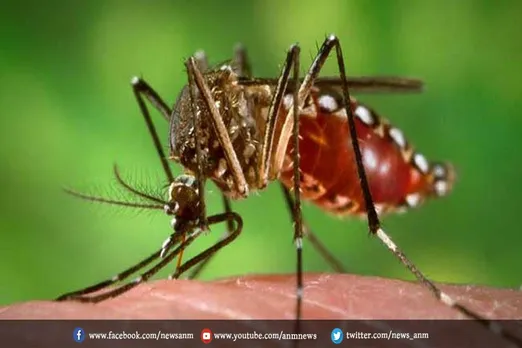 कोलकाता में सीजन की पहली डेंगू मौत