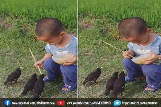 चिड़ियों को खाना खिलाते बच्चे का क्यूट सा वीडियो हुआ वायरल