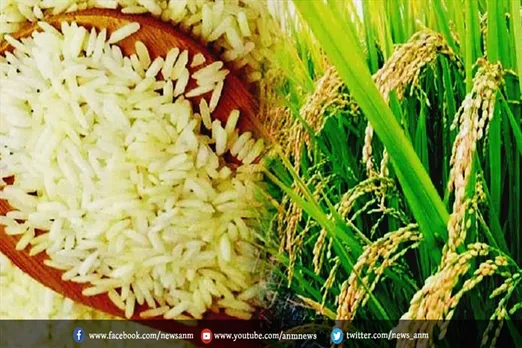 क्या स्वास्थ्य के लिए लाभदायक है ये चावल?