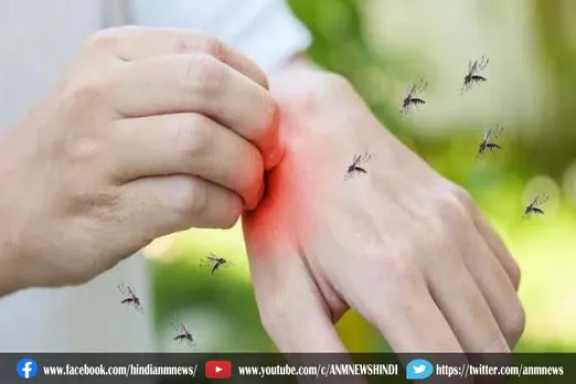 कुछ लोगों को ज्यादा क्यों काटते हैं मच्छर? जानें इसके पीछे क्या है कारण