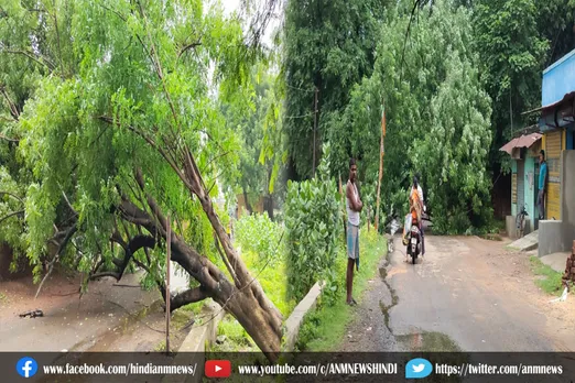 भारी बारिश से सड़क पर गिरा पेड़ यातायात बाधित