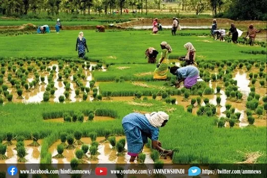 भारत में 23 दिसंबर को ही क्यों मनाया जाता है किसान दिवस?