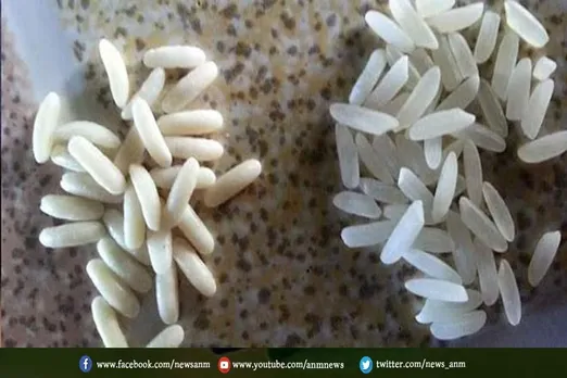 चीन में बनते हैं प्लास्टिक के चावल