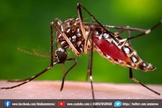 डेंगू के मरीजों की संख्या कम होने लगी