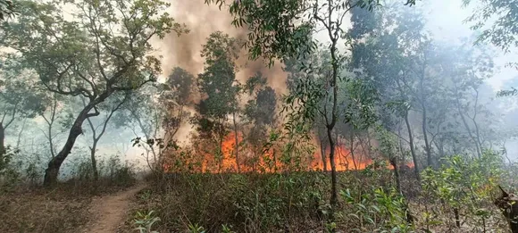 बंगाली नव वर्ष के दिन बदमाशों ने जंगल मे लगाई आग, हजारों पेड़ों समेत वन्य जीवों की हुई हानि