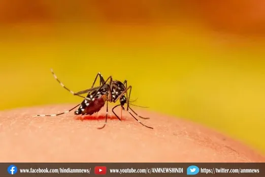 दिल्ली के अस्पतालों में मिल रहा है डेंगू का चौथा स्ट्रेन
