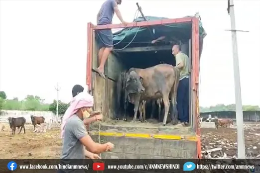 जम्मू-कश्मीर: पुलिस ने 19 जानवरों को कराया आजाद