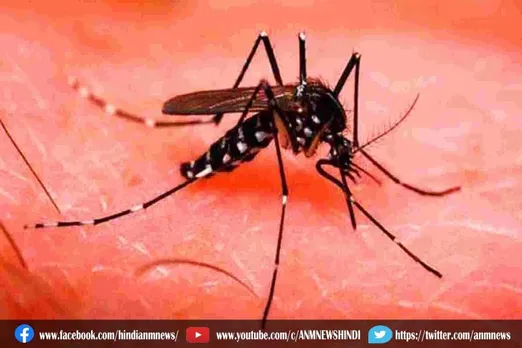 डेंगू के नए मामलों में कमी, लेकिन गंभीर केस काफी तेजी से बढ़ रहे हैं