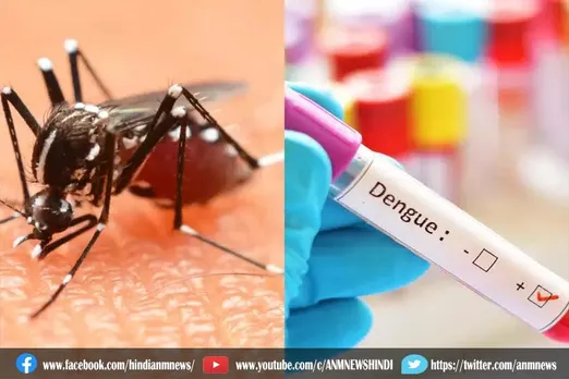 डेंगू बुखार के मामले बढ़ रहे हैं