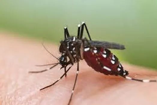 उत्तर प्रदेश के गाजियाबाद में डेंगू के मामलों में बढ़ोतरी देखने को मिली