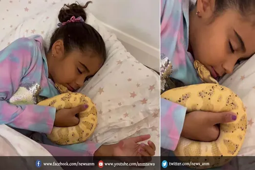 VIDEO :  जहरीले सांप के साथ ऐसे लिपटकर सोती है बच्ची